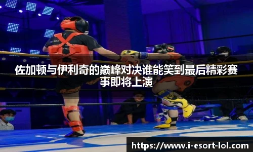 佐加顿与伊利奇的巅峰对决谁能笑到最后精彩赛事即将上演